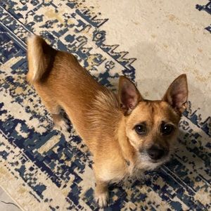 Meet your Posher, Ariston